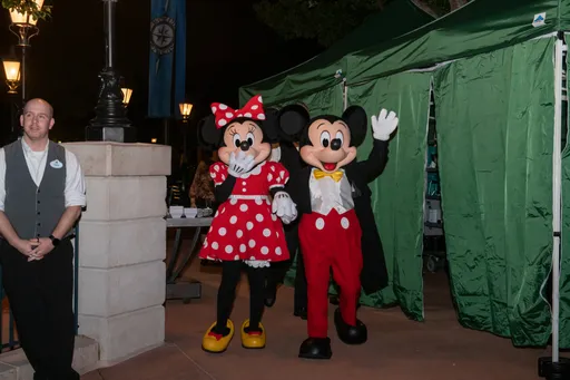 Mickey and Minnie